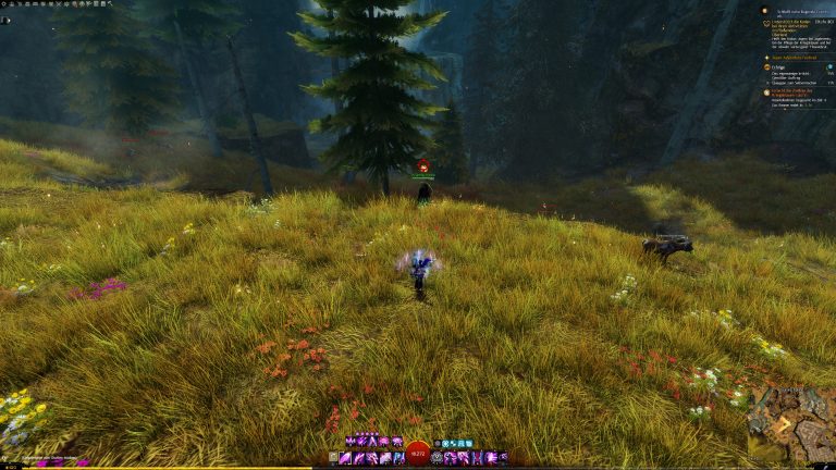 NPC Krumme Kante | Winding Kant