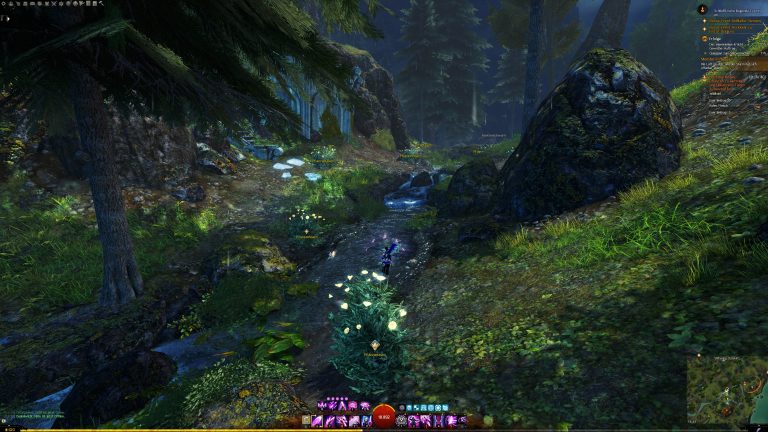 Sammelt Pflanzenfasern