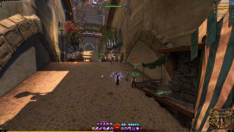 GuildWars2_GW2_JanthirWilds_JW_JanthirNebengeschichten_SideStories_BuildAQuaggan_Selbermachen_07_Quietsche