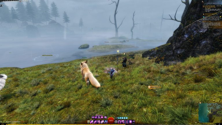 NPC zum Start des Rennens