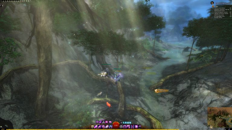 GuildWars2_GW2_Collections_Rare_HartArbeiten_WorkHardNow_04