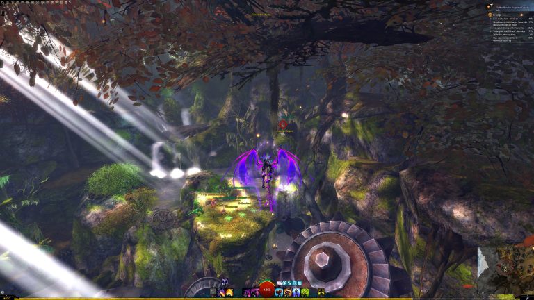 GuildWars2_GW2_Collections_Rare_HartArbeiten_WorkHardNow_07