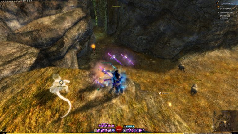 GuildWars2_GW2_Collections_Rare_HartArbeiten_WorkHardNow_10
