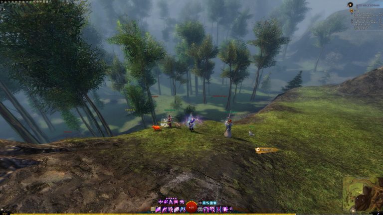 GuildWars2_GW2_Collections_Rare_HartArbeiten_WorkHardNow_14