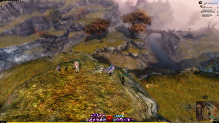 GuildWars2_GW2_Collections_Rare_HartArbeiten_WorkHardNow_15