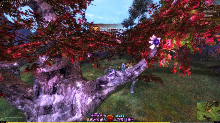 GuildWars2_GW2_Collections_Rare_HartArbeiten_WorkHardNow_22