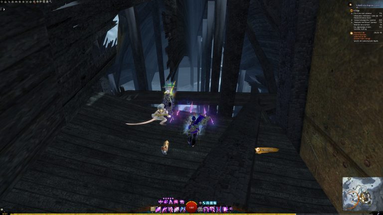 GuildWars2_GW2_Collections_Rare_HartArbeiten_WorkHardNow_23