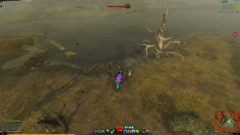 Unterwegs auf Spurensuche