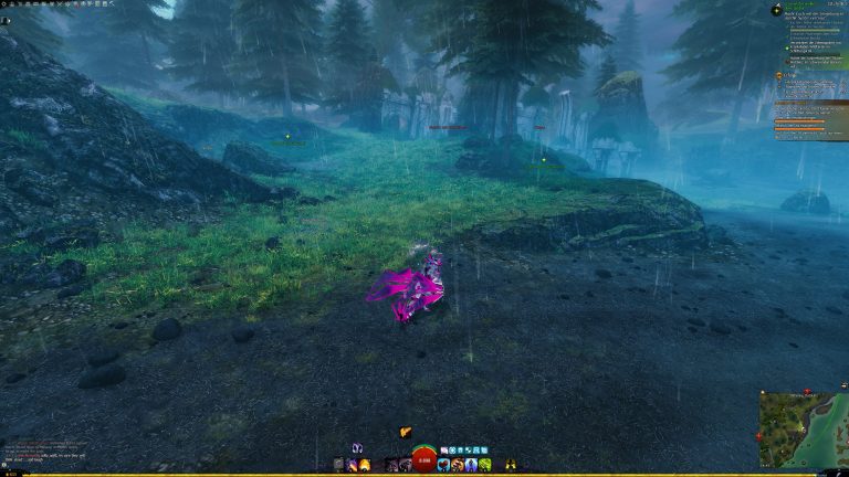 Waschbär und Streifenkauz