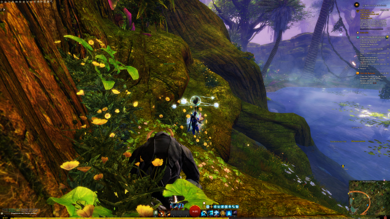 Folgt den Blüten in Blickrichtung