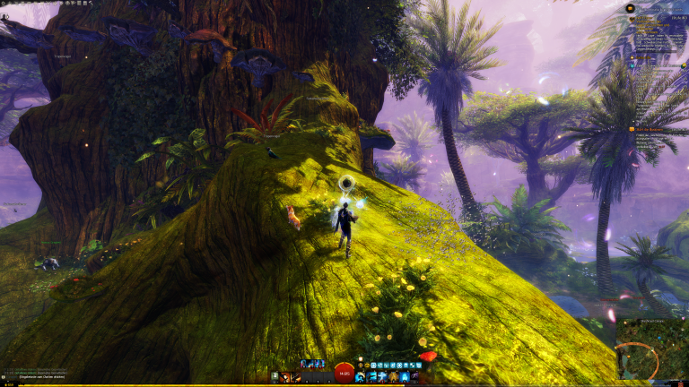 lauf die Wurzel hinauf und nehmt rechts von der Wurzel die Pilze am Baumstamm um weiter hinauf zu gelangen