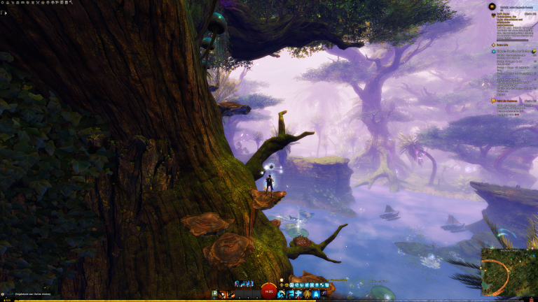 lauf den kleinen Ast hinauf und springt auf den Pilz links davon