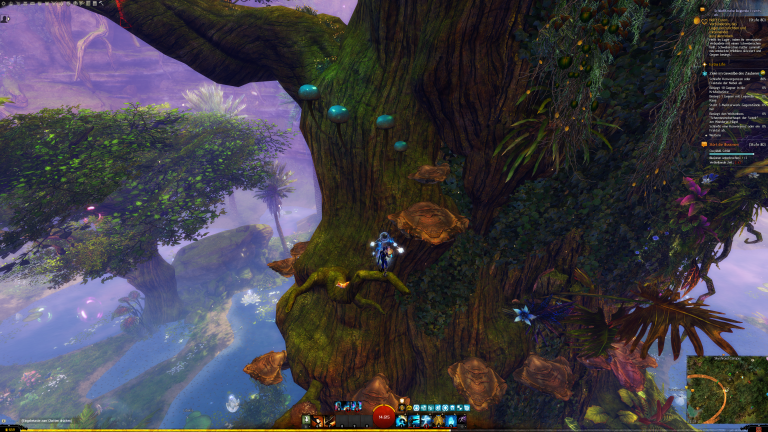 folgt den Pilzen, bis zur Astgabelung, hier geht es die Baumpilze und blauen Pilze hoch zum ast