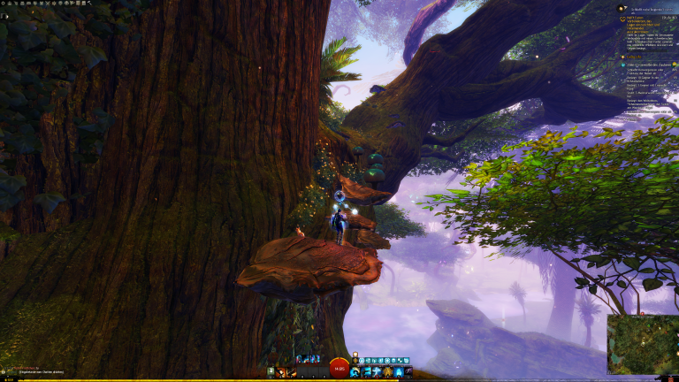 Folgt weiter den Blumen und Pilzen