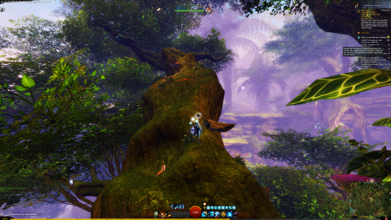 Lauft den Stamm hoch