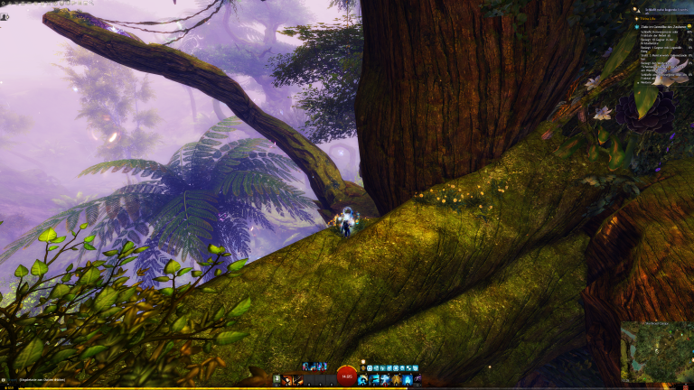 Macht euch dann den Ast hinauf