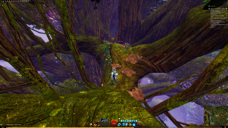 folgt den Bilzen und mach euch auf in die Astgabelung im Zentrum des Baumes