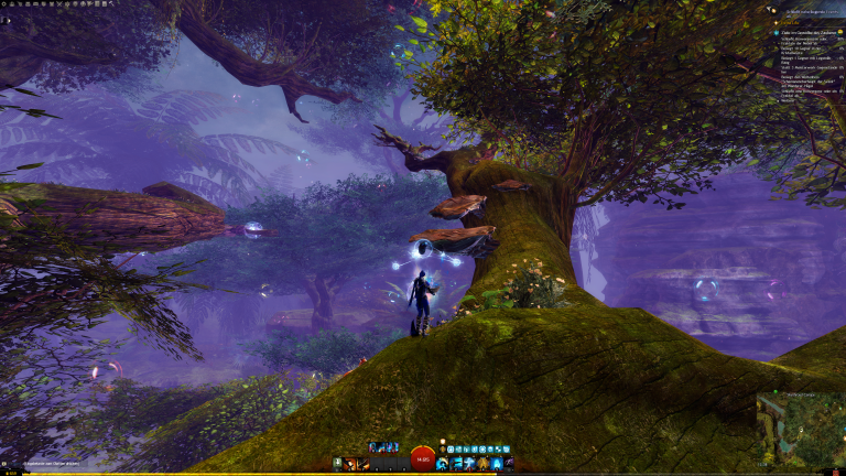 Folgt den Pilzen den Ast hinauf, bis ihr zur linken Spitze gelangt.