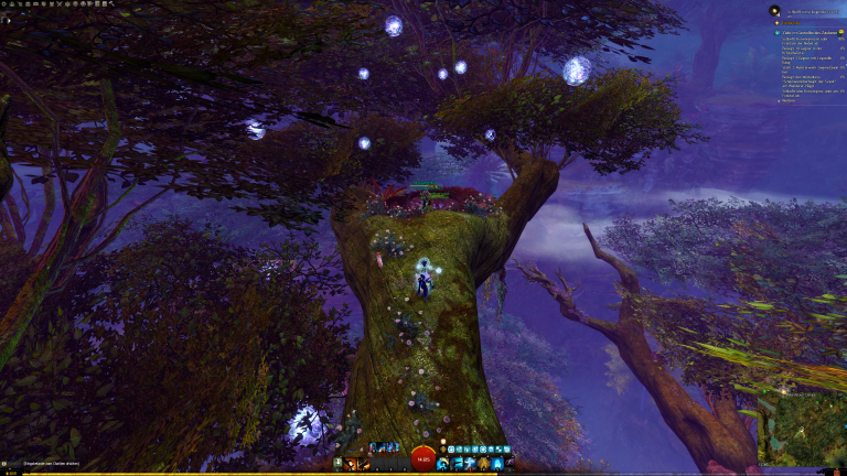 Ihr seht schon das Nest.