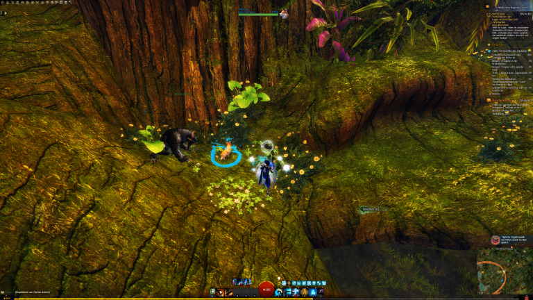 Starter NPC und Küken