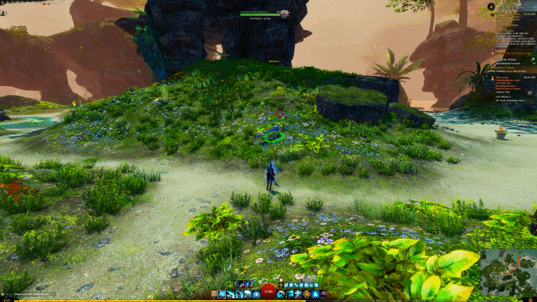 Wellenhabicht Nr. 01