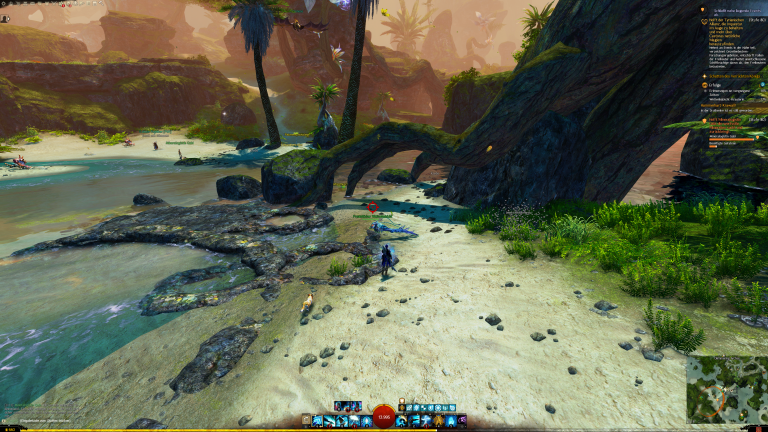 Wellenhabicht Nr. 05