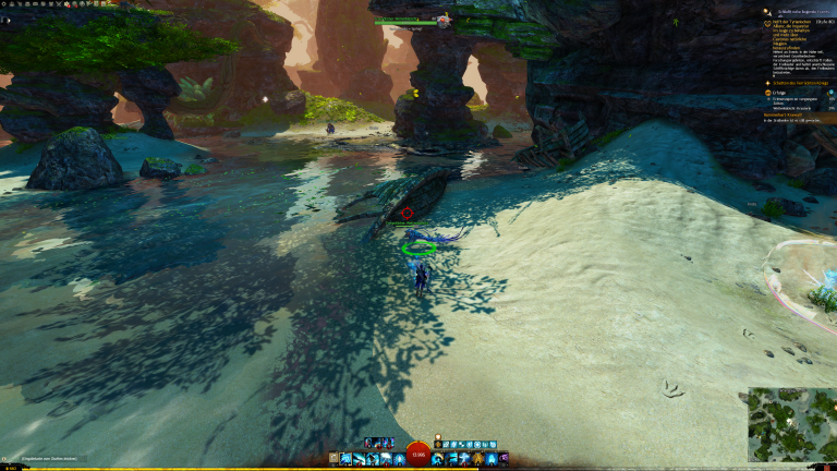 Wellenhabicht Nr. 10