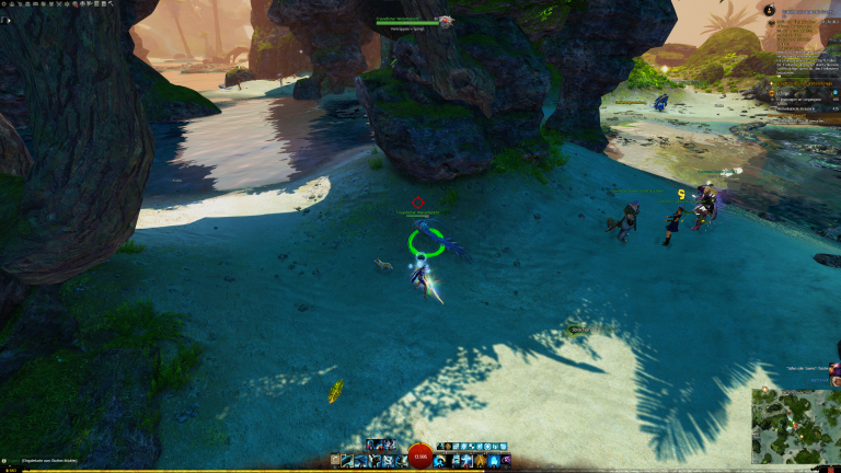 Wellenhabicht Nr. 11