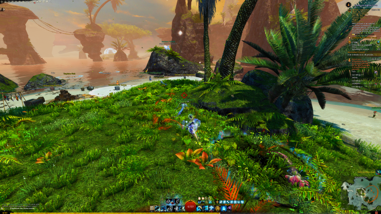 Wellenhabicht Nr. 12