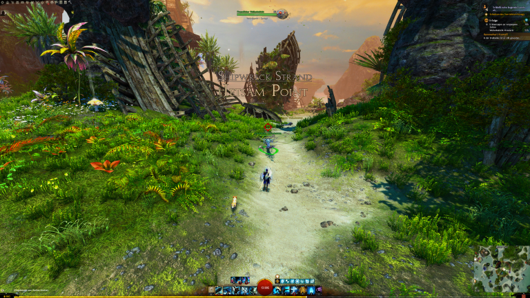 Wellenhabicht Nr. 13