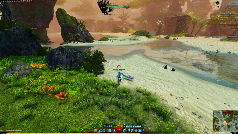 Wellenhabicht Nr. 14