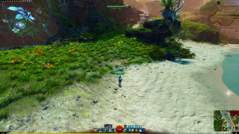 Wellenhabicht Nr. 19