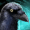 GuidlWars2_GW2_Festival_DrachenGepolter_DragonBash_Raven-Blessed_Visage_KastenFürVomRabenGesegnetenAntlitz