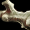 GuidlWars2_GW2_Icon_AncientBone