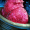 GuildWars2_GW2_Bowl_of_Prickly_Pear_Sorbet_Icon