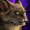 GuildWars2_GW2_Expansion5_JanthirWilds_Janthir_JanthirWildsWarclaw_Reward_JanthirWildsWarclawSkin