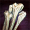 GuildWars2_GW2_Icon_GiftOfBones