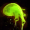 GuildWars2_GW2_Icon_VenomSac