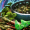 GuildWars2_GW2_JanthirWIlds_JW_Gift_of_the_Side_Course_Icon