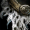 GuildWars2_GW2_VisionsOfEternity_VoE_Visions_of_Eternity_Act_2_Frayed_Garment_Icon