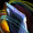 OfTheDragon_BindungDesDrachen_Icon